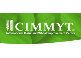 CIMMYT-logo